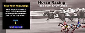 Flash: Horse Racing Quiz, Skoubo Graphics