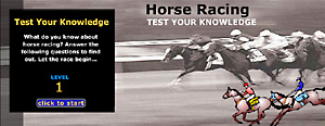 Flash: Horse Racing Quiz