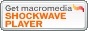 Download Shockwave Player